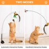 12Pcs Cat Toys,Interactive Cat Toys with 1 Super Suction Cup,2Pcs