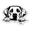 Labrador Retriever Dog Peeking Vinyl Sticker - for Water Bottle Phone Car Tumbler Laptop - Waterproof - 3"