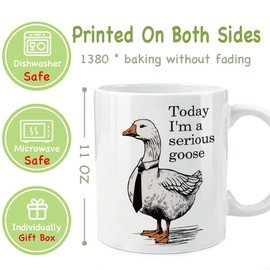 CATABUBU I'm a Serious Funny Goose Mug Gift for Nurse Women Goose Lover Friends, Nurse Gifts for Women Nurses Practitioner RN LPN, Birthday Gifts for Nurses