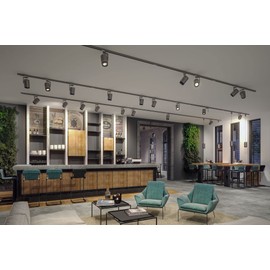 Paulmann 91390 LED Rail System ProRail3 Rail Spot Aldan 8.5 W 3000 K 230 V Black, Chrome Dimmable Rail Systems Ceiling Rail Metal