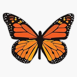 Magnet Butterfly Magnet Bumper Sticker Car Magnet Flexible Reuseable Magnetic Vinyl 5"