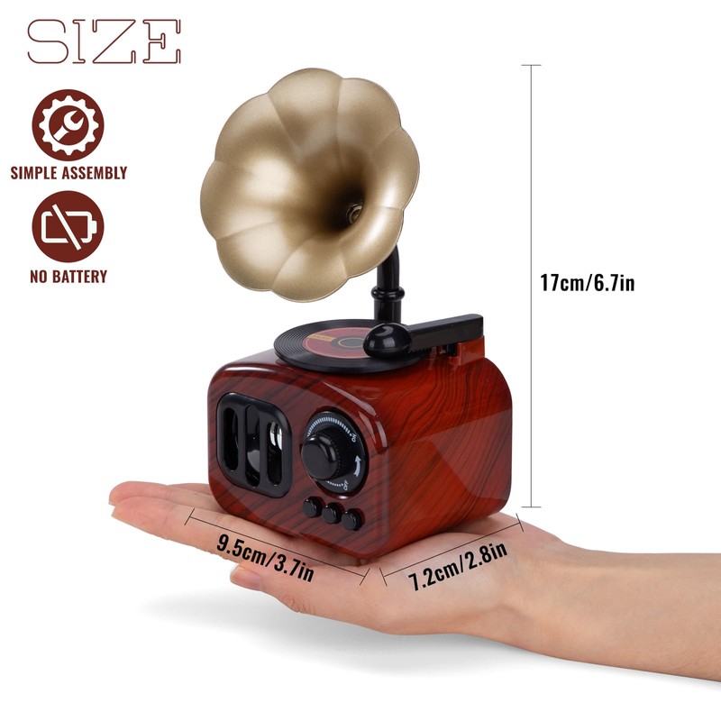 ZLLkeji Music Box Retro Turntable Wind-Up Music Box Girls Gift
