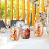 Nuogo 4 Pcs Candy and Cookie Jar Plastic Jars with