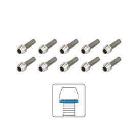 ADEPT BOS00401 AS5 Stainless Steel Bolt Set (M5x18mm)