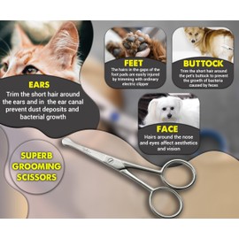Pet Dog Grooming Probe Safety Scissors Blunt End Ball Nose 4.5 INCH Face Ear Nose Moustache/Stainless Steel (4.5")