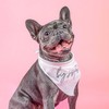 Big Sister Script Boho Dog Bandana | 100% Unbleached Cotton