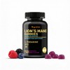 Lion's Mane Gummies, Mixed Berry Flavour, with L-Theanine, B6, B12,
