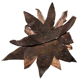 Tangerine Peel | Ju Hong Pi Chinese Herb | Exocarpium Citri Rubrum - Regulates Qi and Adjusts Middle Jiao - Pure Chinese Herb (1 Lb)