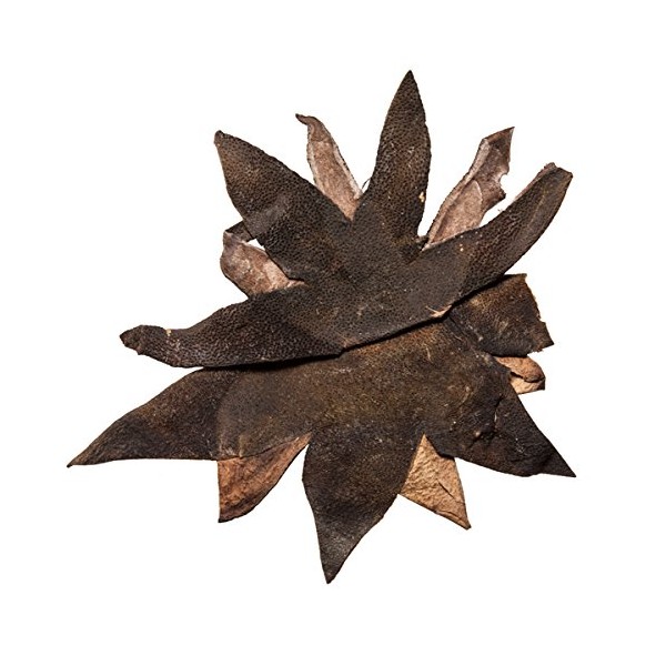 Tangerine Peel | Ju Hong Pi Chinese Herb | Exocarpium