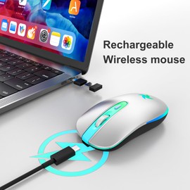 HZD Wireless Mouse, 2.4G Ergonomic Optical LED Mouse with USB Receiver and Type C Adapter, Computer Mouse, 3 Adjustable DPI Levels 1600/1200/800 for Laptop/Tablet/Computer(Silver)