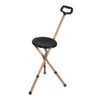 NOVA Folding Seat Cane, Lightweight & Adjustable, Great for Travel,