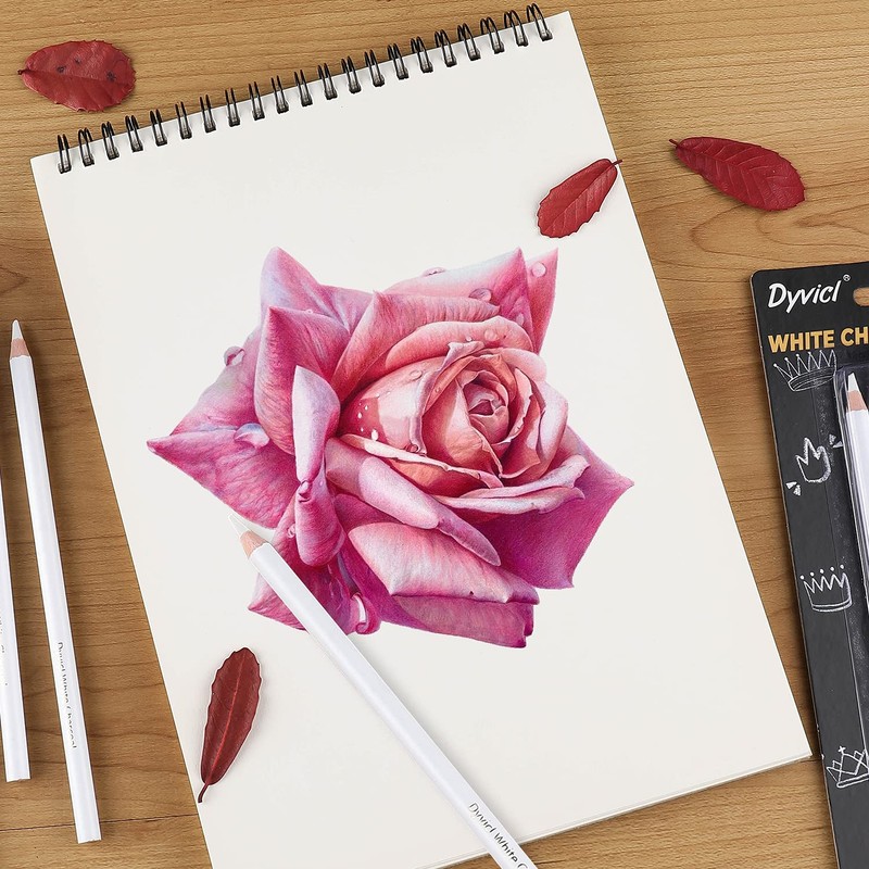 Dyvicl White Charcoal Pencils Drawing Set, 6 Pcs Sketch Highlight