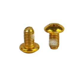 YANRUHFL Stainless Steel Bicycle Rotor Bolts, T25 Torx M5x9mm, Disc Brake Screws, Pack of 12 (Gold)