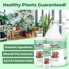 Plant Fertilizer for All Plants, Promotes Vibrant Growth, 8 oz