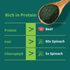 Chlorella Powder Natural with 16 oz - Chlorophyll Powder, Supports