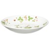 Wedgwood 40032754 Wild Strawberry, Casual Ball, Plate, 7.9 inches (20