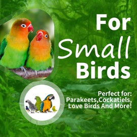 Budgies Toy, Parrot Toy, Budgies Swing, Bird Cage Accessories, Bird Toy, Natural Wood Hammock for Cockatiels, Finches, Small Parakeets and Macaws