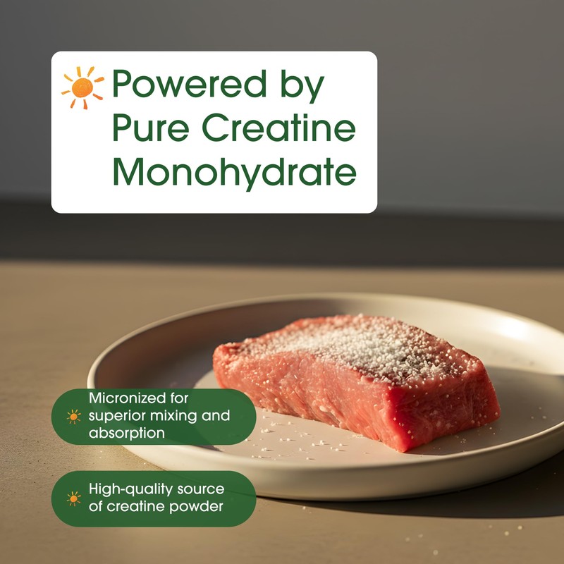 NatureBell Creatine Monohydrate Powder - 500g - Micronized Powder -