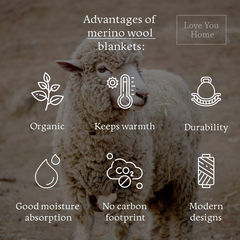 LYHome Merino Wool Blanket - Large Throw Bedspread for Sofa