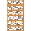 Thomas & Anca Club Supplies Ltd 600 Bingo Tickets -