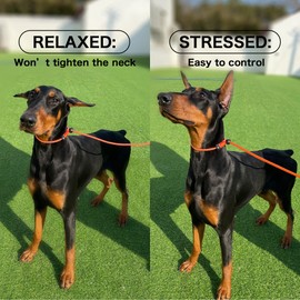 HOWGO Dog Slip Lead Dog Leash,Training Leash,Cinch Leash, No-Pull Slip Leash and Collar,Heavy Duty&Durable,Padded Handle,for All Breeds(Black, 3.6FT)