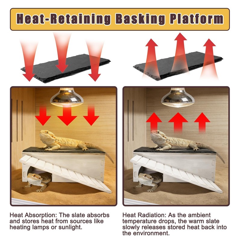 Gxsdj Large Bearded Dragon Basking Platform,Wooden Reptile Hide Cave with