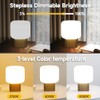 KNYELYNS Mushroom Lamp, Cordless Rechargeable Table Lamp with Glass Shade,