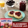 Sure-Jell Premium Light Fruit Pectin (1.75 oz Box)