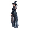Starline Women's Plus Wicked Witch Costume (2X)