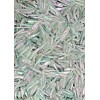 ALL AMERICAN Tournament Quality Soft Plastic Baits 50ct RAINBOW TROUT