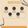 QUENUT | Adaptógeno Orgánico de Hongo Cordyceps en Cápsula Vegana