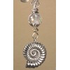 Double-Sided Silvery Nautilus Snail Shell with Iridescent Faceted Clear Glass