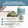 Root Stimulator for Succulents – Liquid Root Supplement with Kelp