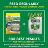 Scotts Turf Builder Weed & Feed3, Weed Killer Plus Lawn