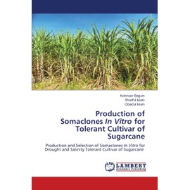 Production of Somaclones In Vitro for Tolerant Cultivar of Sugarcane: Production and Selection of Somaclones In Vitro for Drought and Salinity Tolerant Cultivar of Sugarcane