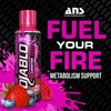 ANS Performance Diablo Carnitine 3000 (473 mL, 16 oz) -