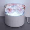 Aroma Lamp Humidifier Colorful Comfortable Multifunctional Crystal Salt Light Diffuser