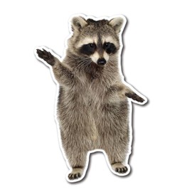 Raccoon Dab Funny Sticker 4" Removable | Cute Animal Vinyl Decal for Cars, Laptops, Water Bottles - Waterproof