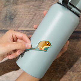 Die Cut Sticker Kangaroo Rat Geometric Vinyl Sticker, (Waterproof Decal for Cars, Water Bottles, Laptops, Coolers), Large