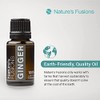 Nature's Fusions Ginger Root, 100% Pure and Natural Essential Oils,