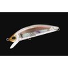 YO-ZURI R1212-RGLM-Real Glass Minnow Floating 3D Inshore Minnow (F) 3.5