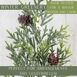 Factory Direct Craft Snowy Artificial Cedar Pine and Cones Greenery Stem - Fake Greenery for Christmas Arrangements and Holiday Decorating (26 Inches High)