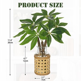 Hollyone Fake Money Tree Leaves Stems in Woven Glass Vase with Faux Water 11.8" Artificial Plants Indoor Money Tree Plant for Home Office Bedroom Shelf Farmhouse Wedding Table Centerpiece Decorations