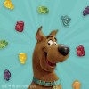 Betty Crocker Scooby Doo Fruit Flavored Snacks Gummy Treats Value