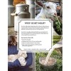 Dionis - Goat Milk Skincare Verbena Cream Scented Lotion (