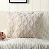 Haundry Pack of 2 Soft Plush Short Wool Velvet Decorative