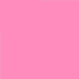 Pack of 4 LEE No. 107 Light Rose - 24 x 24 cm Transparent Heat Resistant Coloured Film for Photo Studio PAR 64 Headlight - Gel Colour Filter Film (Pack of 4, Lee 107 Light Rose)