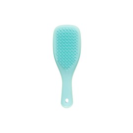 Tangle Teaser, The Ultimate Detangler, Mini Sea Green (Genuine Domestic Product) *Formerly Name: The Wet Detangler