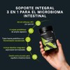 VITANNA® Tribiotics | Probioticos, Prebioticos y Posbióticos | 2 Meses