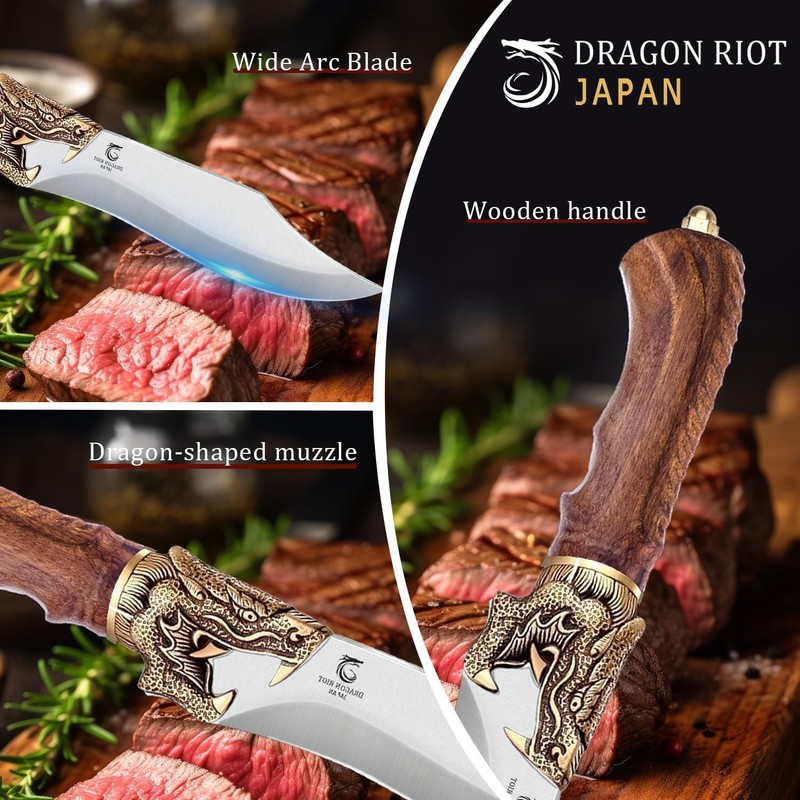 DRAGON RIOT Razor Sharp Chef Knife for Cooking, Hand Forged